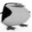 L1nF_bL@E