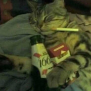 Mentally chill avatar