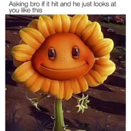 Not Really