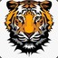 Tiger.P