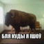 SWAG диллер