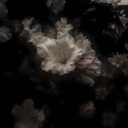 Beyond
