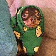 Семяслав Брызгич