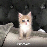 m3z - steam id 76561199799857328