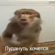 Серега Эпштейн