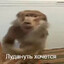Серега Эпштейн