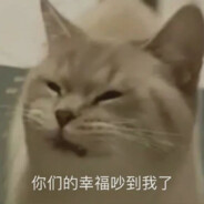 AA法律援助吃小猫