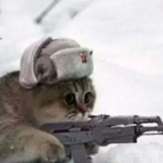 日系少男八嘎酱