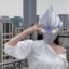 赵公子