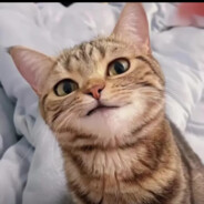 我牛至直接塞你嘴里