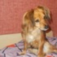 lucy34545