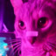 WILL_ZEPPELIN