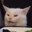 MemeCat