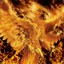 ThePhoenix