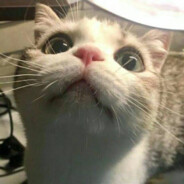 翻斗花园牛爷爷