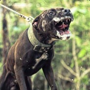 On a losing streak..