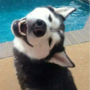 别问，问就是白给