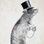 Rat in the Hat