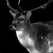 Potato The Nuclear Watermelon