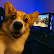 анальный дебошир