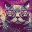 #Trippy Cat#