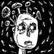 Zef