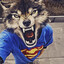 Крутой чувак's avatar