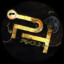 PHSUN