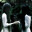 Twink