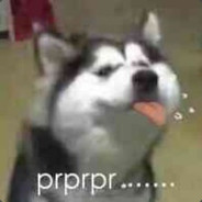 prprprpr,bulabulabula！