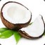 COCCO BIELLO