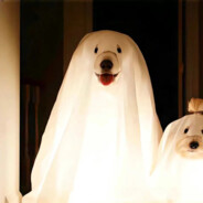 狂暴兽的小男仆