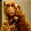 Alf