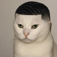 Dihlbert