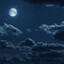 Night
