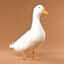 Flipflop's avatar