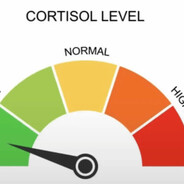 Low Cortisol