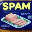 NUTS.SPAM™