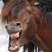 角落里的老喷子