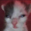 Skunkie