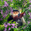monkey in bloom