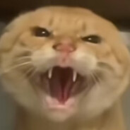 耄耋耄耋耄耋耄耋