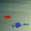 Hoopla