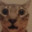 ruuser