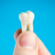 коренной зубик