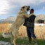 KANGAL