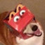 FanniDog