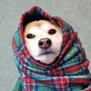 ✿✿✿ (•◡•) ✿✿✿