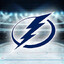 Tampa Bay Lightning fan