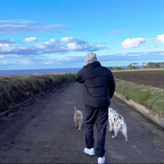 狗熊岭第一突破手强子